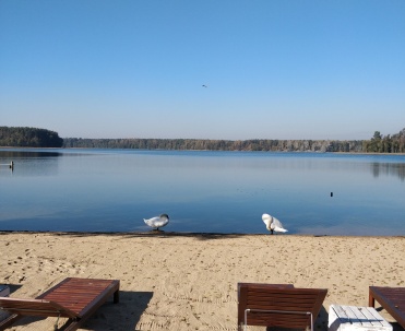 Pomost z widokiem na czyste jezioro w Rucianem-Nidzie